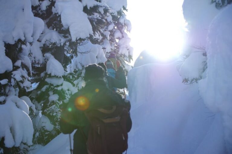 Whistler: Backcountry Snowshoeing Tour with Guide - The Value and Overall Impression