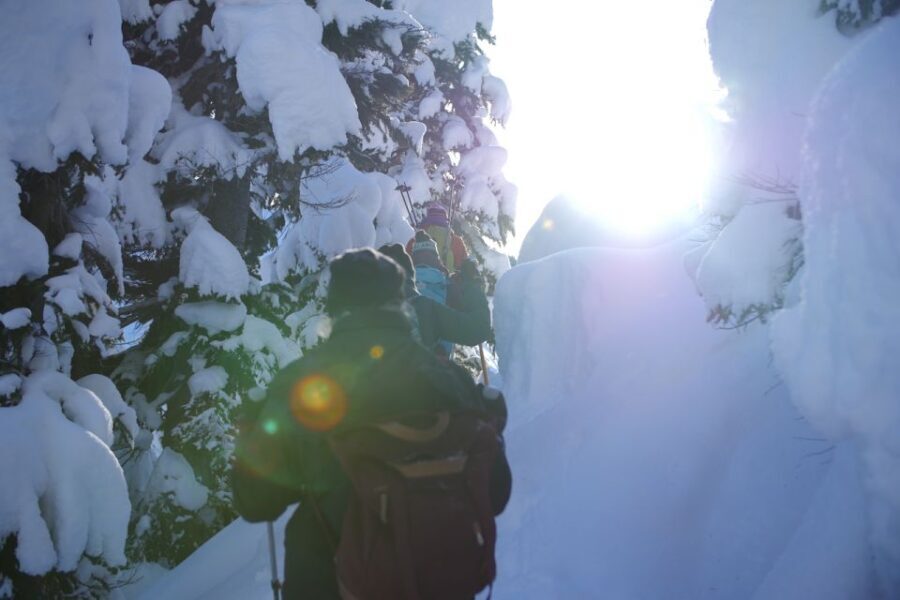 Whistler: Backcountry Snowshoeing Tour with Guide - The Value and Overall Impression