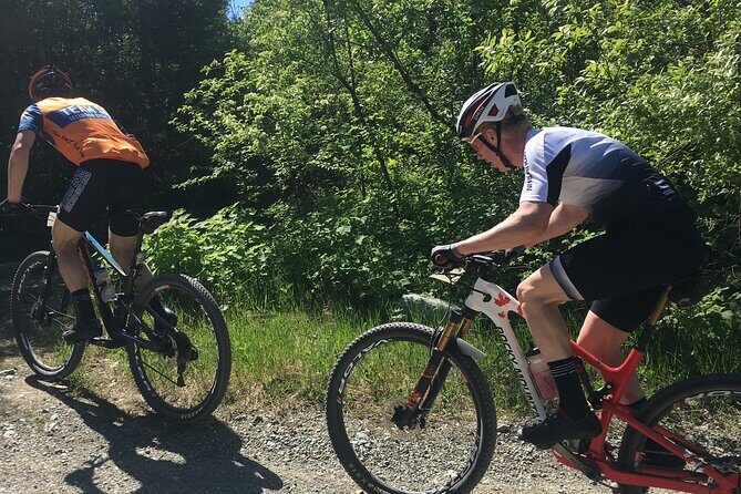 Whistler Full-Day Mountain Bike Tour - The Value of This Tour