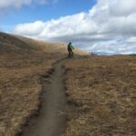 Whistler Half-Day Mountain Bike Tour - The Practicalities: Booking, Duration, and Group Size