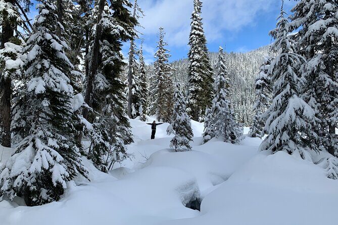 Whistler Lost Lake Snowshoeing and Village Tour - Who Would Love This Tour?