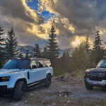 Whistler: Morning with the Bears Land Rover Scenic Excursion - The Value of the Experience
