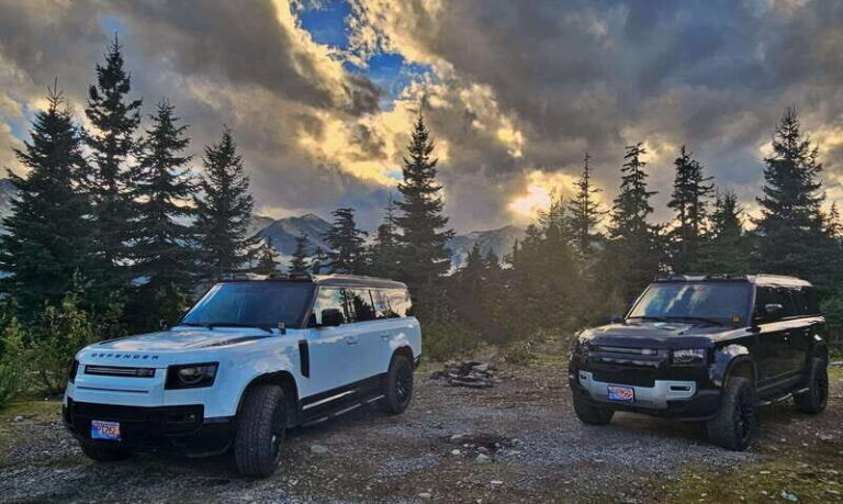 Whistler: Morning with the Bears Land Rover Scenic Excursion - The Value of the Experience