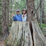 Whistler: Tour, Immersive Nature Experience - The itinerary, in detail