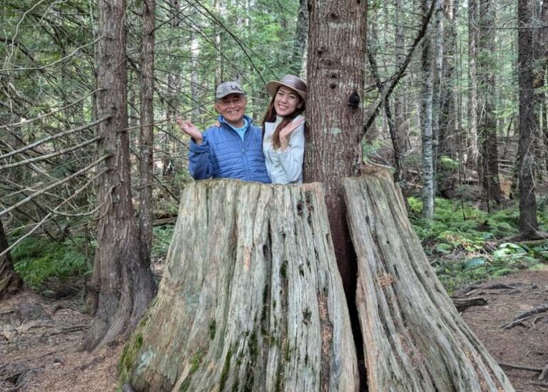 Whistler: Tour, Immersive Nature Experience - The itinerary, in detail