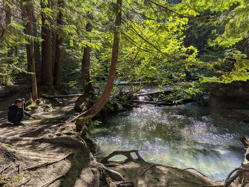 Whistler: Tour, Sensory Nature Experience for Families - Learning from a Skilled Guide