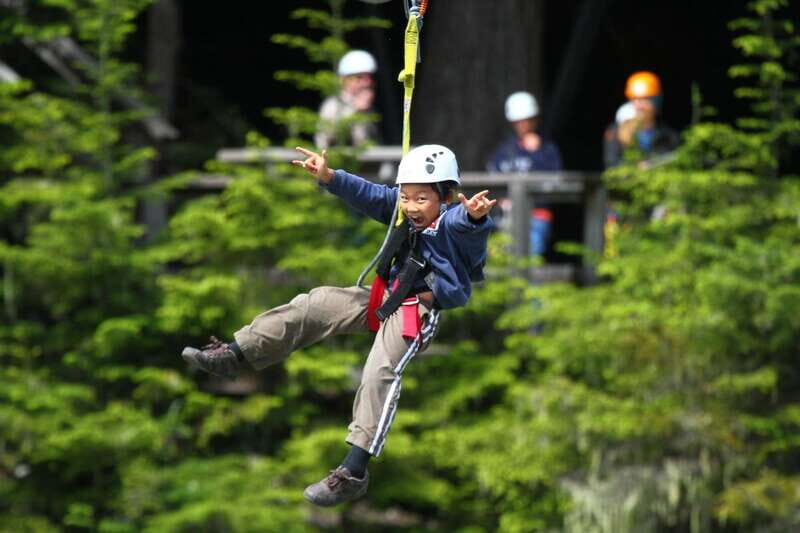 Whistler Zipline Experience: Ziptrek Bear Tour - Learning About the Local Ecology