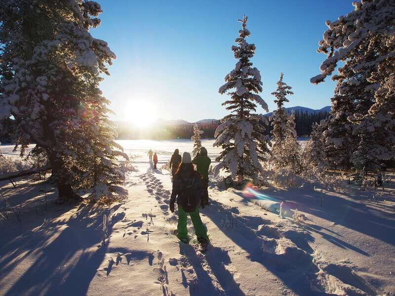 Whitehorse: Half-Day Snowshoeing Tour - The Itinerary and Highlights