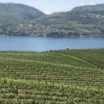 Whitewater and Wine: Wenatchee River Whitewater Rafting and Winery Tour - Authentic Feedback from Participants