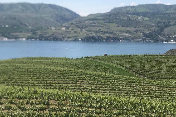 Whitewater and Wine: Wenatchee River Whitewater Rafting and Winery Tour - Authentic Feedback from Participants