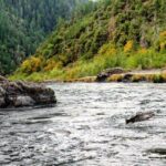 Whitewater Fishing and Rafting Experience in Rogue River - Is It Worth the Price?
