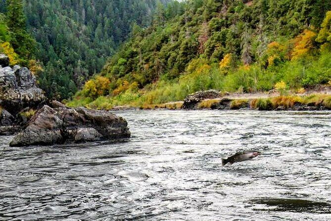 Whitewater Fishing and Rafting Experience in Rogue River - Is It Worth the Price?