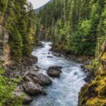 Whitewater Rafting on Jasper's Fraser River - Key Points