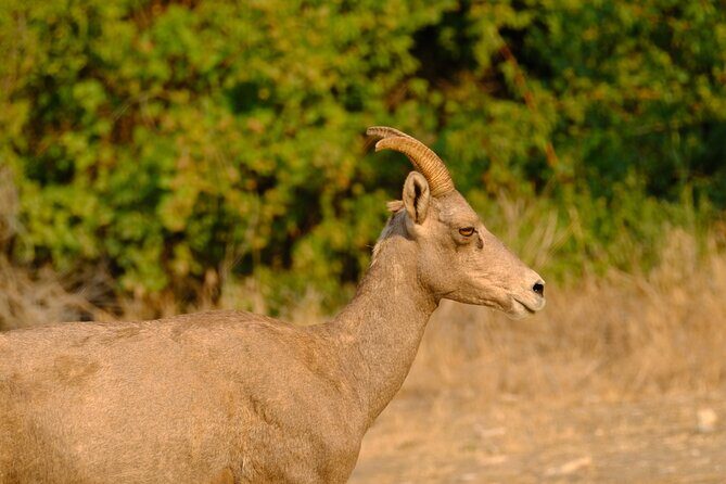 Whitewater Rafting the Salmon River - Full Day - Pricing and Value