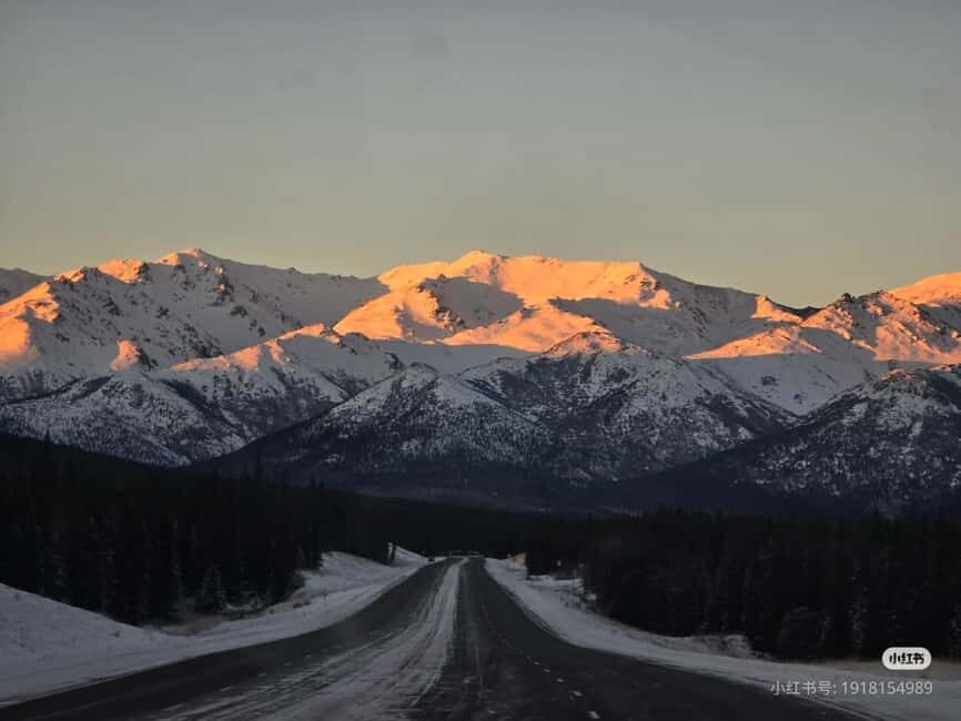 Whittier Cruise Shuttle Tour with Multiple Stops - Professional Photography: Making Memories Last