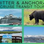 Whittier to Anchorage Land Transfer Tour With AWCC - What Could Be Improved?