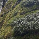 Whytecliff Park Indigenous Salish Sea Walking Tour - The Practical Details: What You Need to Know