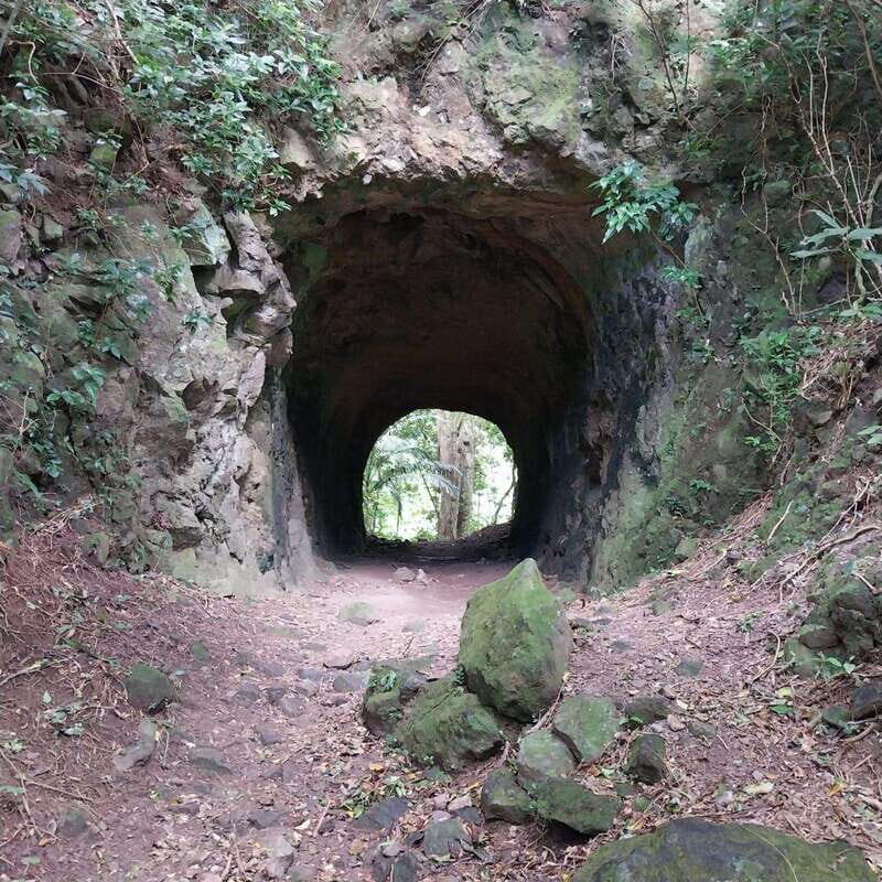 Wild Immersion : Hiking in the Heart of the Tropical Forest - What to Expect on the Day