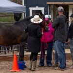 Wild Mustang Experience Near Colorado Springs - Why the Location Matters