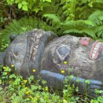 Wild Wolf Tours - 3 hour - Is This Tour Worth It?