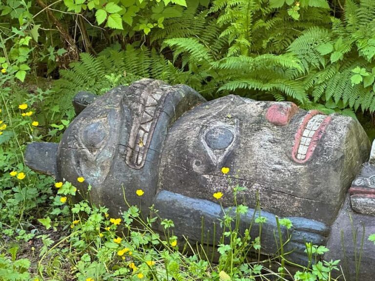 Wild Wolf Tours - 3 hour - Is This Tour Worth It?