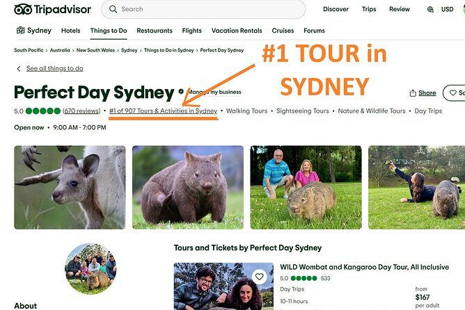 WILD Wombat and Kangaroo Day Tour, All Inclusive - What Travelers Say: Authentic Experiences and Minor Drawbacks