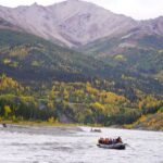 Wilderness: Denali National Park Class I-III Rafting Tour - Who Will Love This Tour?