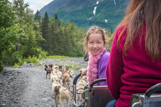 Wilderness Dog Sled Ride and Tour in Seward - The Ride: An Experience to Remember