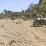 Wildest Adventure: Zip Lines, Free Falls, and Off-Road Thrills - The Bottom Line