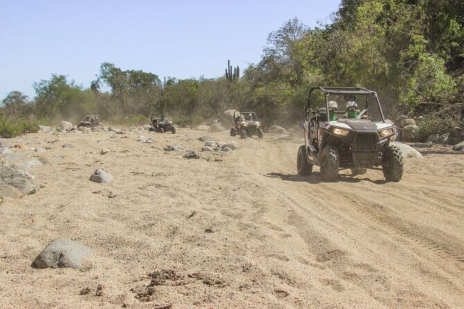 Wildest Adventure: Zip Lines, Free Falls, and Off-Road Thrills - The Bottom Line