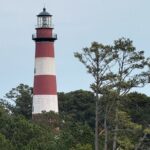 Wildlife Boat Tour with Wild Ponies and Dolphins in Chincoteague - Final Thoughts
