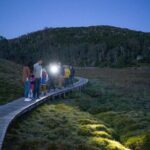 Wildlife Night Spotting at Cradle Mountain - Is This Tour Worth It?