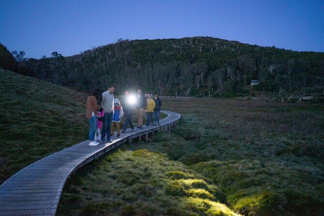 Wildlife Night Spotting at Cradle Mountain - Is This Tour Worth It?