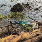 Wildlife Spotting Kayak Adventure on Orcas Island - Final Thoughts