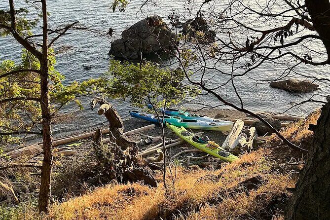 Wildlife Spotting Kayak Adventure on Orcas Island - Final Thoughts