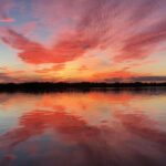 Wildlife Tour of Indian River Lagoon with Experienced Captain - Who Should Consider This Tour?
