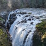 Wildlife, Waterfalls, Caves, Old Growth on Vancouver Island - FAQ