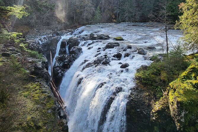 Wildlife, Waterfalls, Caves, Old Growth on Vancouver Island - FAQ
