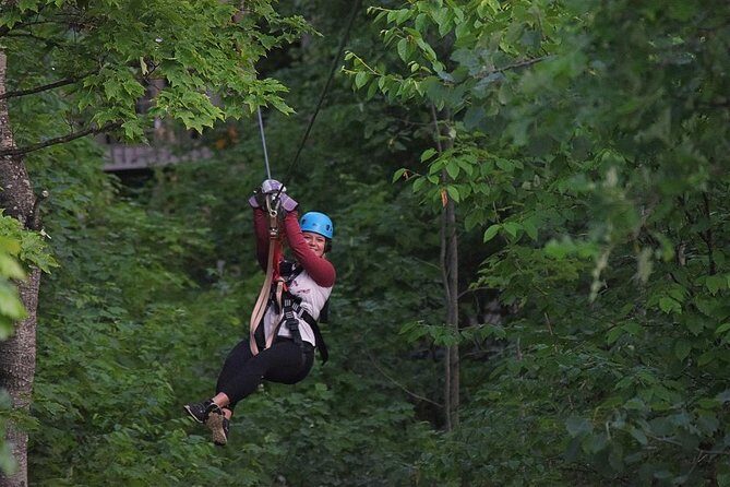 Wildman Zip Line Tour - Who Will Love This Tour?