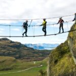 Wildwire Wanaka- Level 2 (4 Hours) - The Guides and Safety