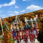Williamsburg: Busch Gardens Ticket & Water Country Option - Practical Details and Tips