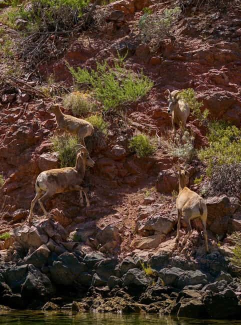 Willow Beach: Half-Day Emerald Cave Kayak Tour  3 Caves - The Practical Side
