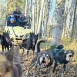 Willow: Fall Dog Sled Adventure - What to Expect from Your Willow Fall Dog Sled Ride
