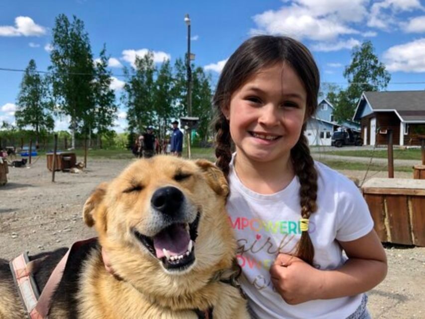 Willow: Summer Dog Sledding Ride in Alaska - What We Love About This Tour
