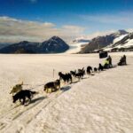 Willow: Winter Dog Sledding Adventure - Who Is This Tour Best For?