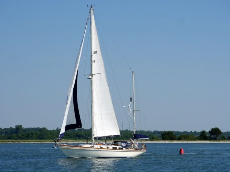 Wilmington: Wrightsville Beach Private Sailboat Cruise - The Beauty of Wildlife Watching