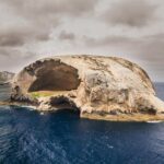Wilsons Promontory Wilderness Cruise from Tidal River - What Travelers Say