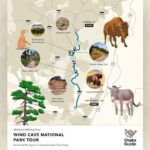 Wind Cave National Park Self-Guided Audio Tour - What the Experience Offers