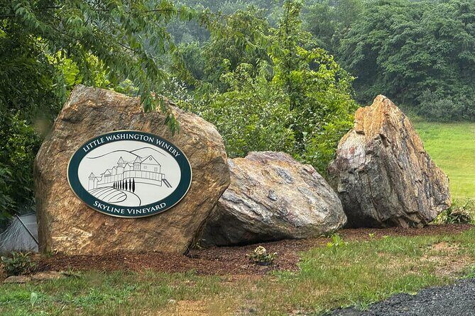 Wine Bootcamp - Led by our winemaker - The Setting and Group Dynamics