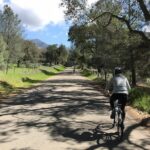 Wine Country Half-Day Bike Tour from Solvang - w/o Lunch - The Experience: Pros and Cons